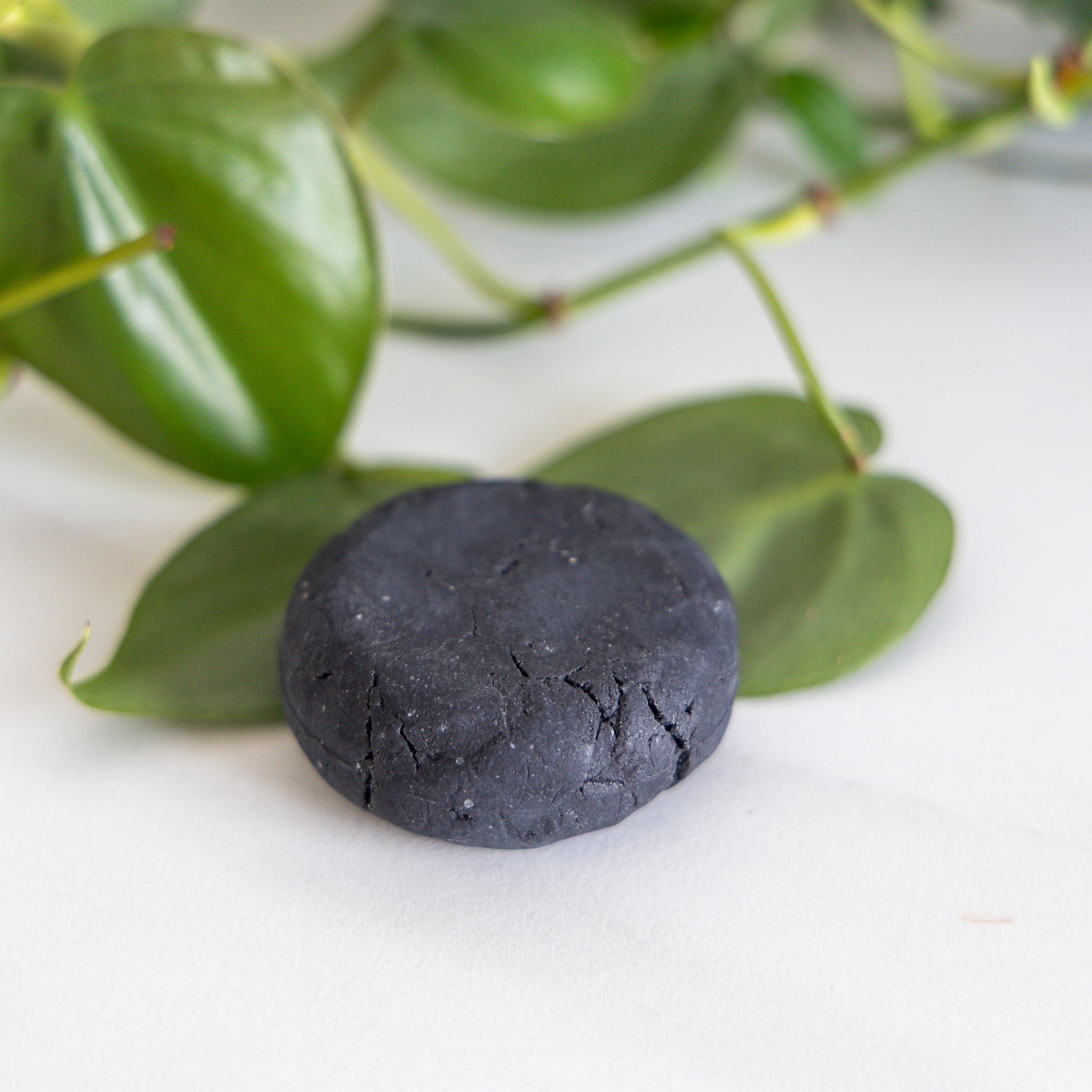 Bar Shampoo and Conditioner: Rebalancing Peppermint & Tea Tree