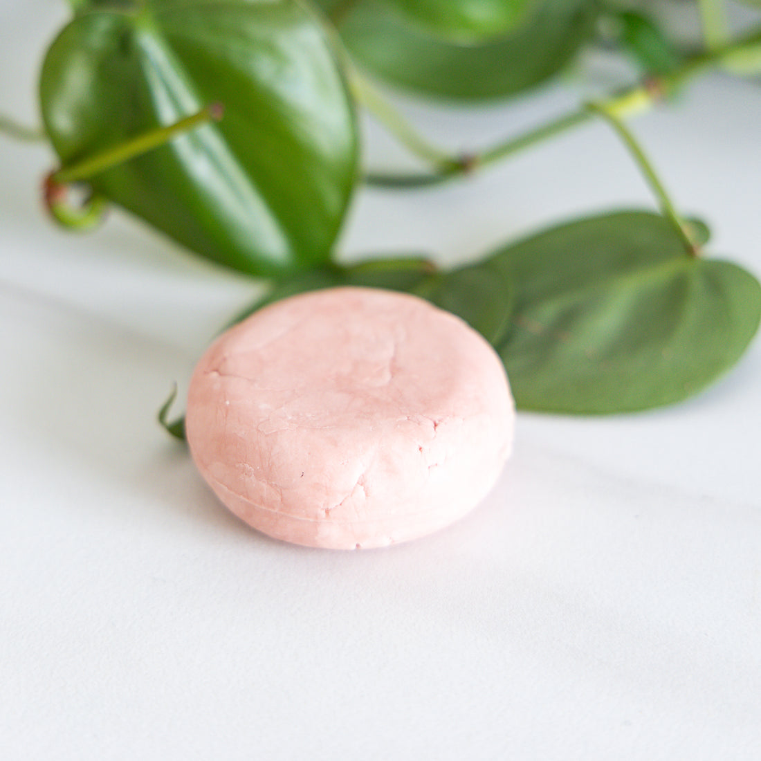 Bar Shampoo and Conditioner: Nourishing (Unscented)