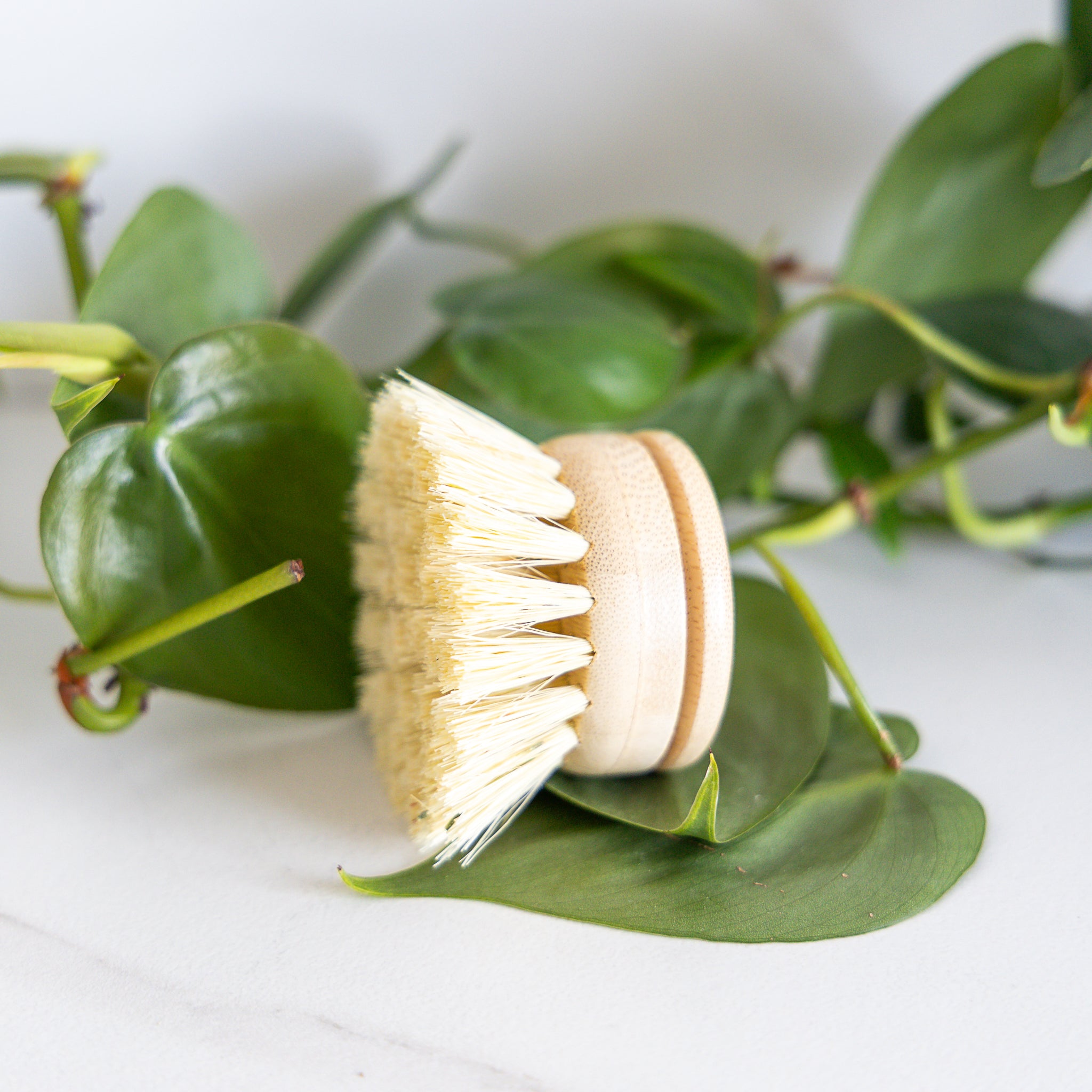 Eco-Friendly Bamboo Sisal Dish Brush