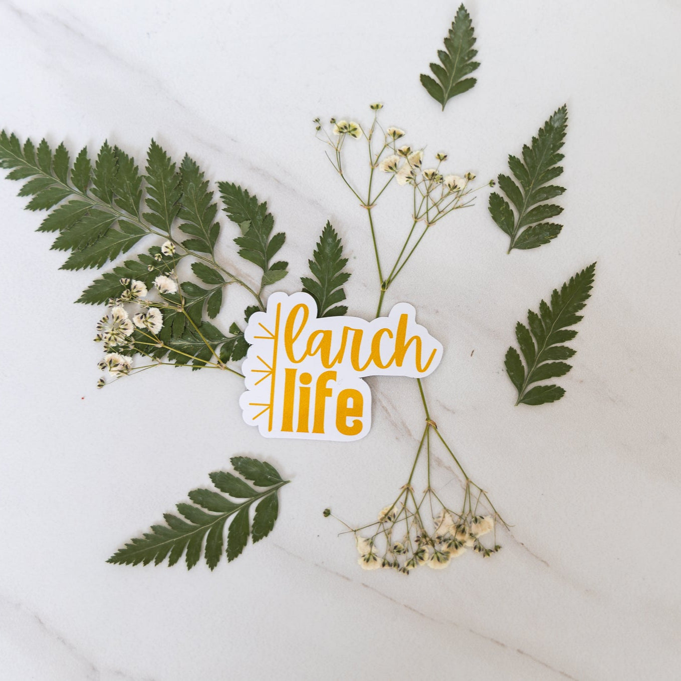 Larch Life Pride Stickers