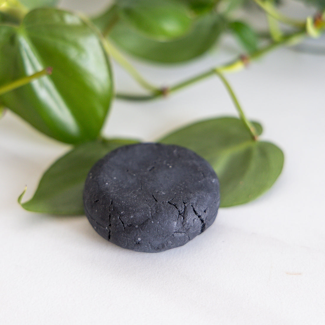 Bar Shampoo and Conditioner: Rebalancing Peppermint &amp; Tea Tree