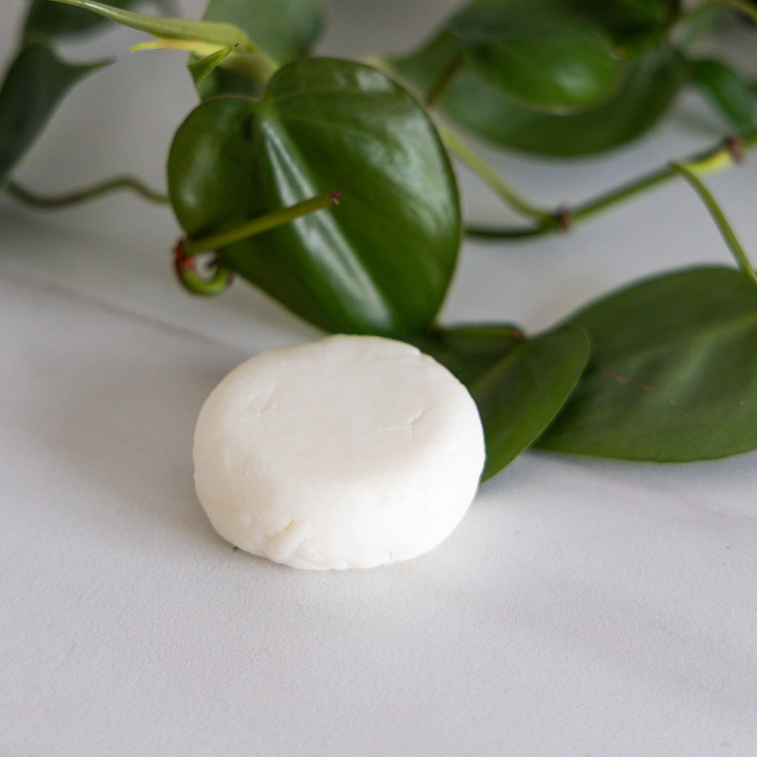 Bar Shampoo and Conditioner: Hydrating Lavender