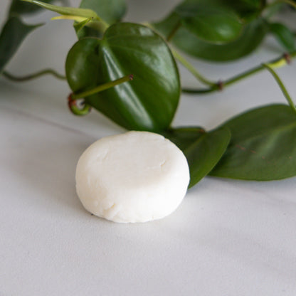 Bar Shampoo and Conditioner: Hydrating Lavender