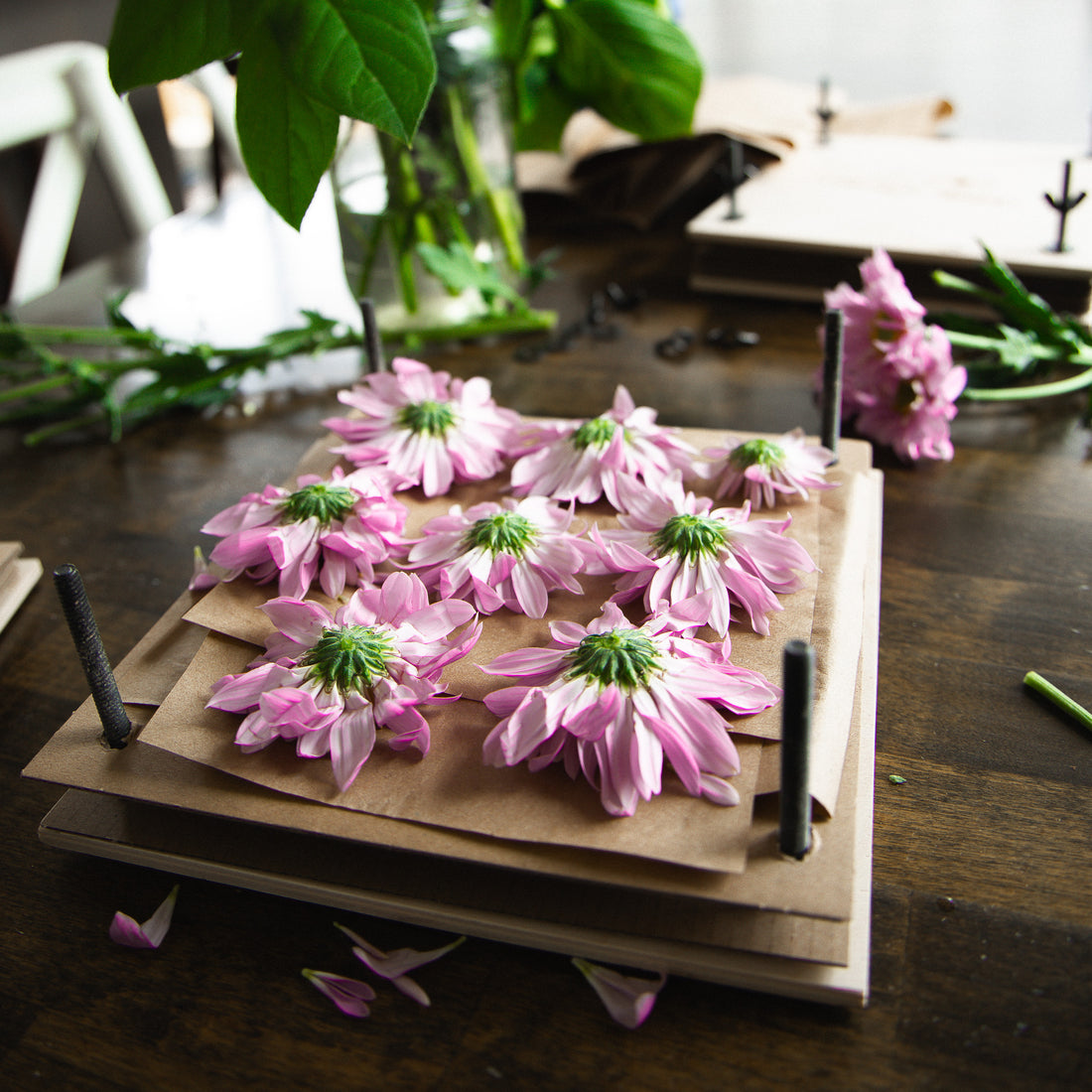 Flower Press Workshop | Calgary: May 31, 2025