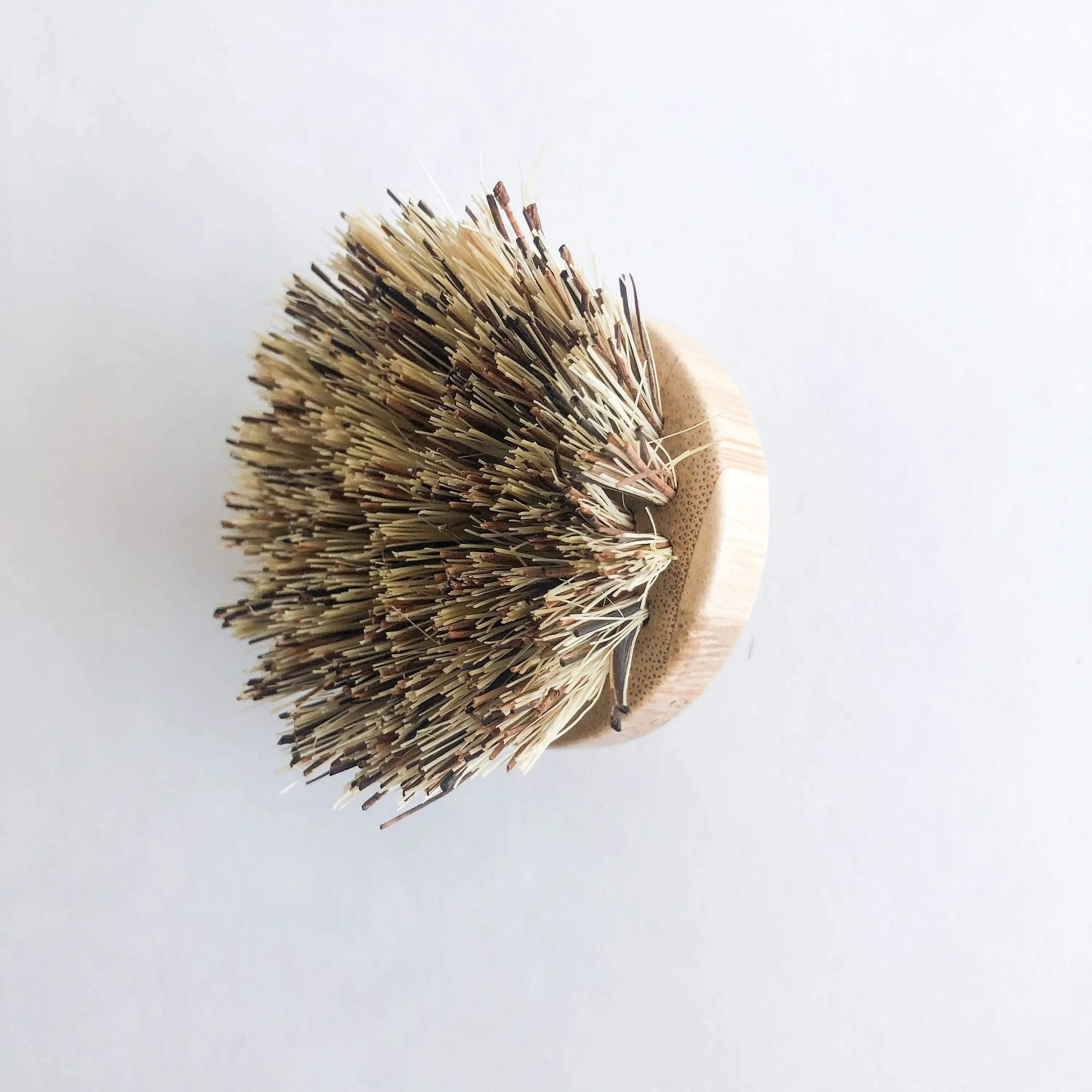 A replaceable head for a natural bamboo dish brush