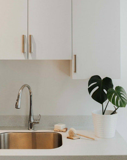 A sustainable solid dish soap bar rests on a counter next to a sink. A natural scrub brush and monstera plant sit nearby